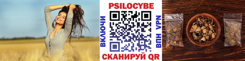 Псилоцибиновые грибы Magic Shrooms  кракен ссылки  Киров 